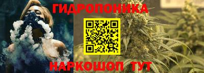 PSILOCYBIN Канаш