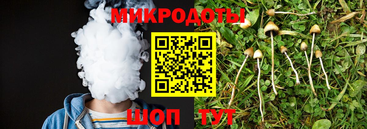 Дальнегорск  где купить наркотик  Галлюциногенные грибы MAGIC MUSHROOMS  Вход с VPN  Галлюциногенные грибы Psilocybe 