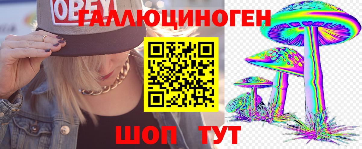 Галлюциногенные грибы мухоморы Дальнегорск